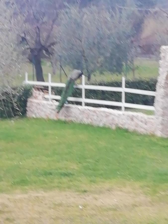 Palombara Sabina Residenza Nosy Be 빌라 외부 사진