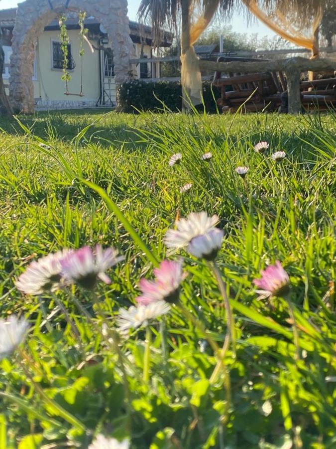 Palombara Sabina Residenza Nosy Be 빌라 외부 사진