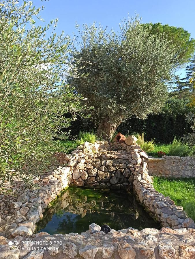 Palombara Sabina Residenza Nosy Be 빌라 외부 사진